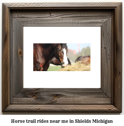 horse trail rides near me in Shields, Michigan